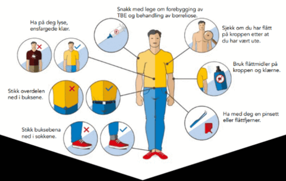 Illustrasjon av de 10 flåttvettreglene som er fine å følge for å unngå flåttbitt.
