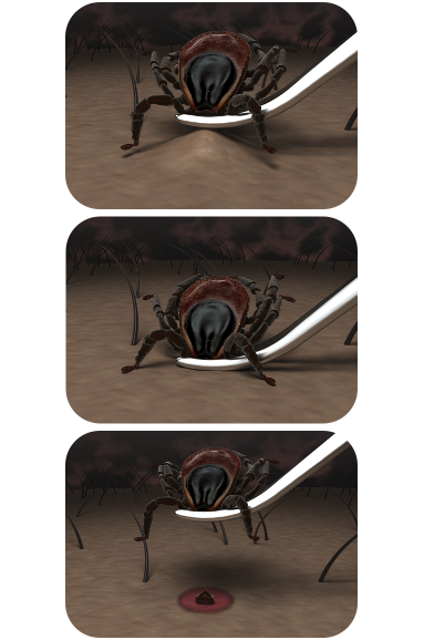 pfizer-flattvett-fjerne-flatt-pinsett Fjerne flått med pinsett. Ta tak i flåtten med en pinsett helt nede ved huden, dra flåtten rett ut og vask såret.