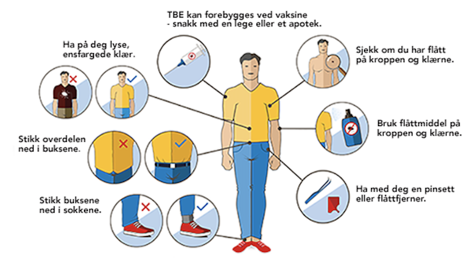 pfizer-flattvett-unnga-flatt-flattvettreglene Illustrasjon av flåttmannen med 10 regler som er fine å følge for å unngå flåttbitt.
